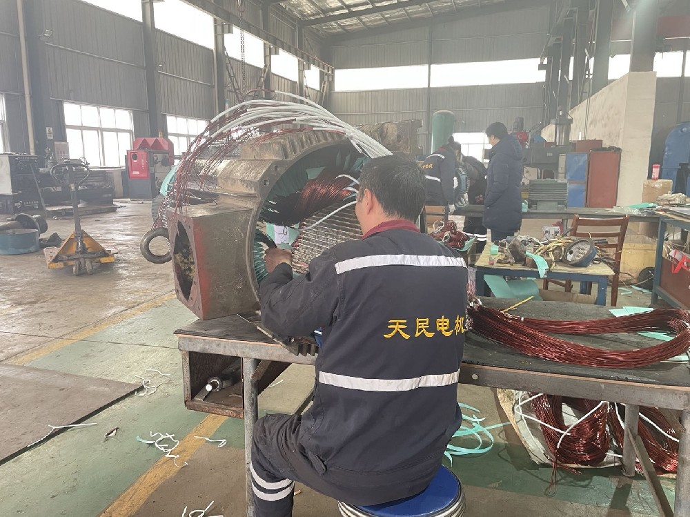 　低壓電機(jī)維修