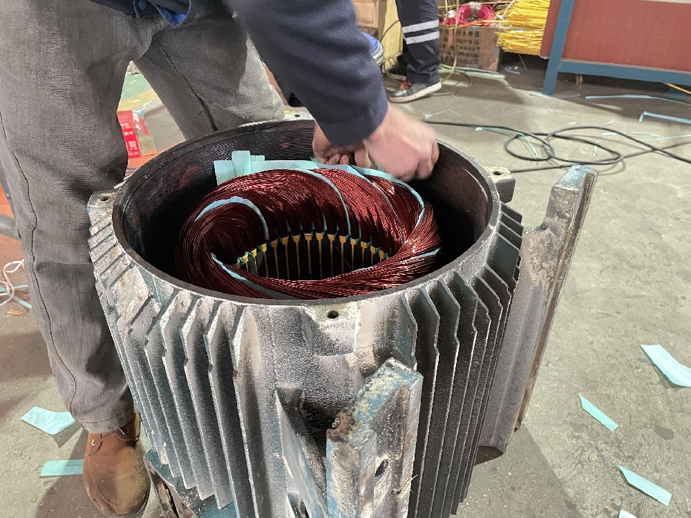 低壓電機(jī)維修